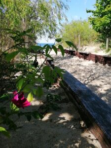 Jedno z wejść na plażę we Władysławowie